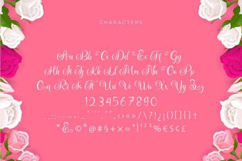 beautiful script font